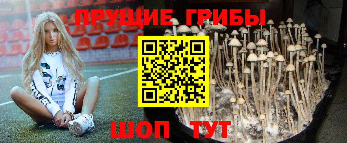 Гагарин  Галлюциногенные грибы прущие грибы  Вход с VPN 