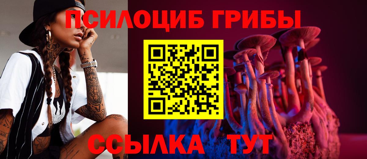 Галлюциногенные грибы GOLDEN TEACHER Гагарин