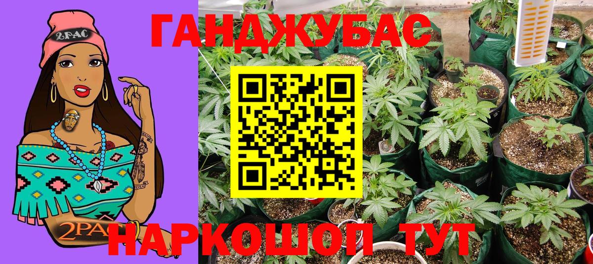 Конопля MAZAR  МАРИХУАНА план  Гагарин  Вход с VPN  Марихуана план 